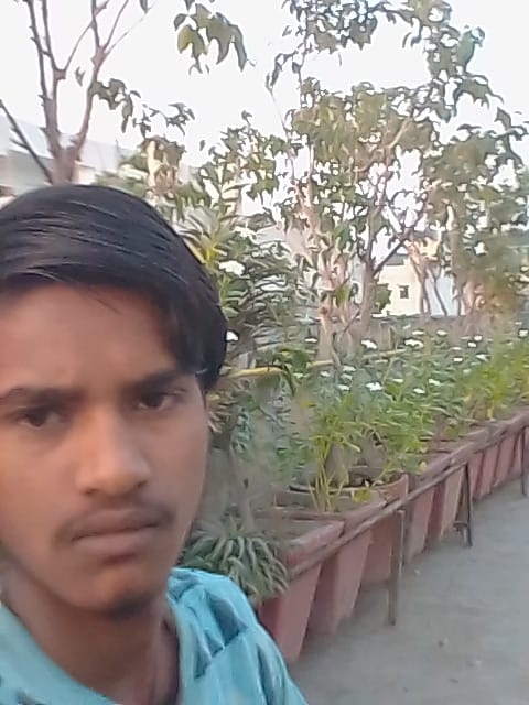 _1545468244mFVD20.jpeg